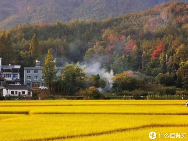 我的国庆是这样浪的,你们呢?休闲区蓝鸢梦想 - Www.slyday.coM 我的国庆是这样浪的,你们呢?休闲区蓝鸢梦想 - Www.slyday.coM