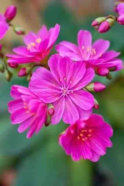 努力学习,不断进步,做说话算数的人休闲区蓝鸢梦想 - Www.slyday.coM 努力学习,不断进步,做说话算数的人休闲区蓝鸢梦想 - Www.slyday.coM