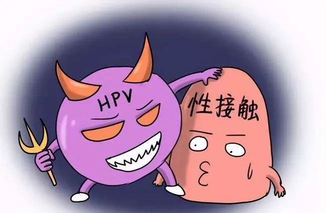 甘红霞:打了HPV疫苗,还需要做宫颈癌筛查吗?聊聊宫颈癌筛查的那些事休闲区蓝鸢梦想 - Www.slyday.coM 甘红霞:打了HPV疫苗,还需要做宫颈癌筛查吗?聊聊宫颈癌筛查的那些事休闲区蓝鸢梦想 - Www.slyday.coM