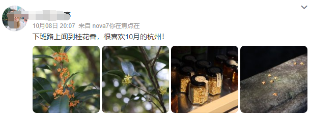 马上开始发力!杭州明天进入“新阶段”!再熬一天,好消息就来了...休闲区蓝鸢梦想 - Www.slyday.coM 马上开始发力!杭州明天进入“新阶段”!再熬一天,好消息就来了...休闲区蓝鸢梦想 - Www.slyday.coM