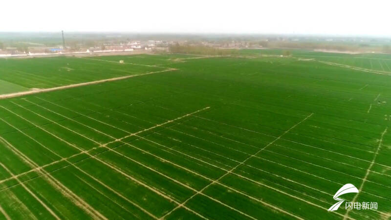 我的这十年丨让种地更轻松、让农民更体面 看“全国十佳农民”魏德东的耕耘之路休闲区蓝鸢梦想 - Www.slyday.coM 我的这十年丨让种地更轻松、让农民更体面 看“全国十佳农民”魏德东的耕耘之路休闲区蓝鸢梦想 - Www.slyday.coM