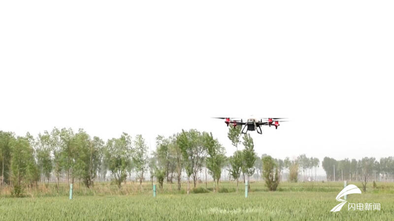 我的这十年丨让种地更轻松、让农民更体面 看“全国十佳农民”魏德东的耕耘之路休闲区蓝鸢梦想 - Www.slyday.coM 我的这十年丨让种地更轻松、让农民更体面 看“全国十佳农民”魏德东的耕耘之路休闲区蓝鸢梦想 - Www.slyday.coM