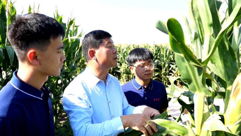 我的这十年丨让种地更轻松、让农民更体面 看“全国十佳农民”魏德东的耕耘之路休闲区蓝鸢梦想 - Www.slyday.coM 我的这十年丨让种地更轻松、让农民更体面 看“全国十佳农民”魏德东的耕耘之路休闲区蓝鸢梦想 - Www.slyday.coM