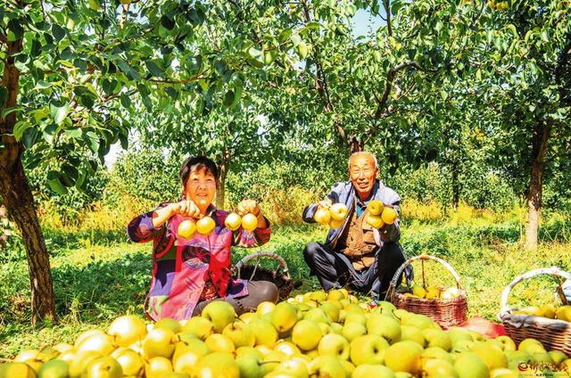 田间地头话丰收——忻州农信社大力支持农民增收致富侧记休闲区蓝鸢梦想 - Www.slyday.coM 田间地头话丰收——忻州农信社大力支持农民增收致富侧记休闲区蓝鸢梦想 - Www.slyday.coM