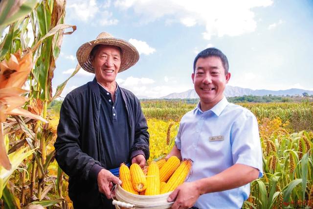 田间地头话丰收——忻州农信社大力支持农民增收致富侧记休闲区蓝鸢梦想 - Www.slyday.coM 田间地头话丰收——忻州农信社大力支持农民增收致富侧记休闲区蓝鸢梦想 - Www.slyday.coM