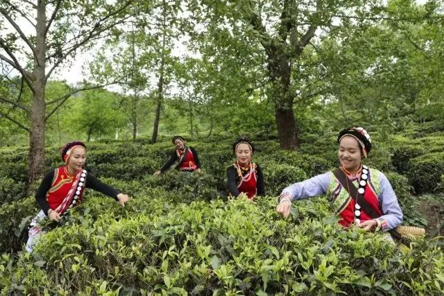 数说福贡这十年休闲区蓝鸢梦想 - Www.slyday.coM 数说福贡这十年休闲区蓝鸢梦想 - Www.slyday.coM