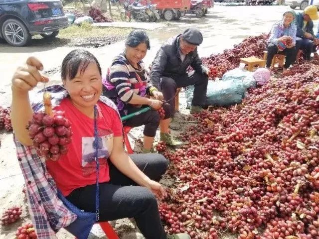 数说福贡这十年休闲区蓝鸢梦想 - Www.slyday.coM 数说福贡这十年休闲区蓝鸢梦想 - Www.slyday.coM
