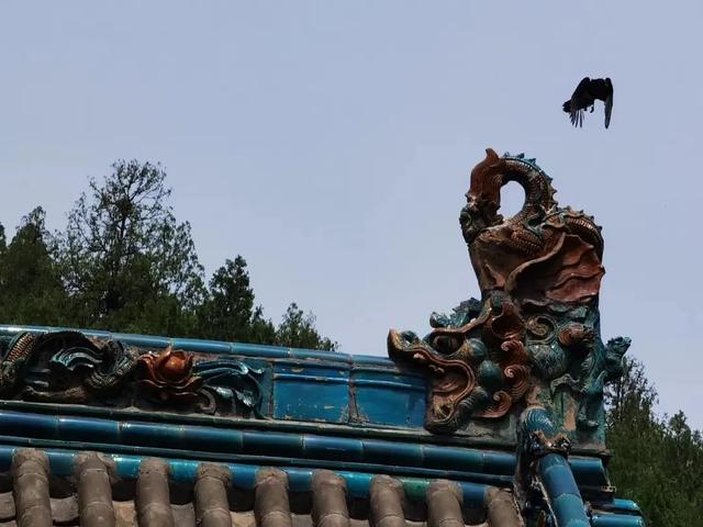 祠、寺、阁、馆,西山这里藏着四朝历史休闲区蓝鸢梦想 - Www.slyday.coM 祠、寺、阁、馆,西山这里藏着四朝历史休闲区蓝鸢梦想 - Www.slyday.coM