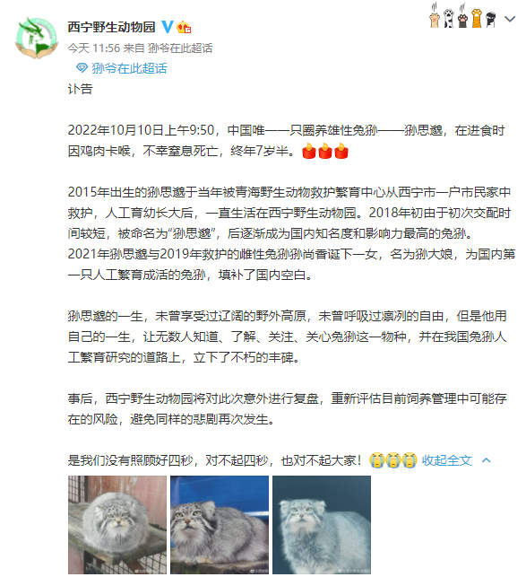网红“狲思邈”,意外死亡休闲区蓝鸢梦想 - Www.slyday.coM 网红“狲思邈”,意外死亡休闲区蓝鸢梦想 - Www.slyday.coM
