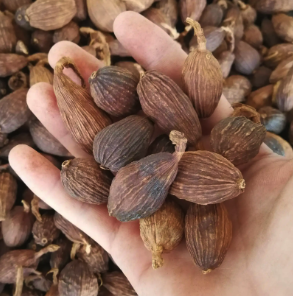 降温后的第一顿火锅,安排上了吗?遇到这种火锅,千万别吃→休闲区蓝鸢梦想 - Www.slyday.coM 降温后的第一顿火锅,安排上了吗?遇到这种火锅,千万别吃→休闲区蓝鸢梦想 - Www.slyday.coM