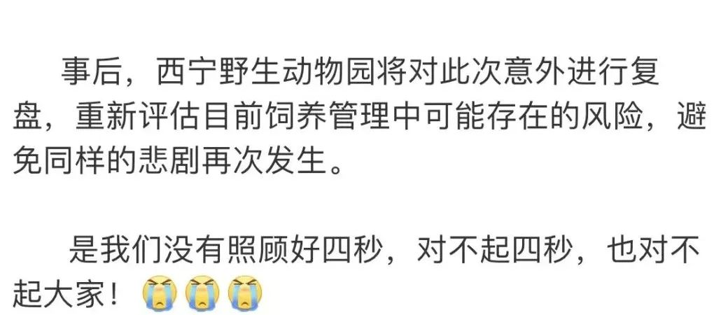 网红“狲思邈”意外死亡,专家澄清→休闲区蓝鸢梦想 - Www.slyday.coM 网红“狲思邈”意外死亡,专家澄清→休闲区蓝鸢梦想 - Www.slyday.coM
