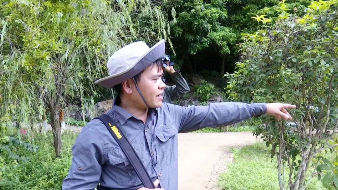 与国家级“大咖”——白头叶猴做邻居原来是这种体验……休闲区蓝鸢梦想 - Www.slyday.coM 与国家级“大咖”——白头叶猴做邻居原来是这种体验……休闲区蓝鸢梦想 - Www.slyday.coM