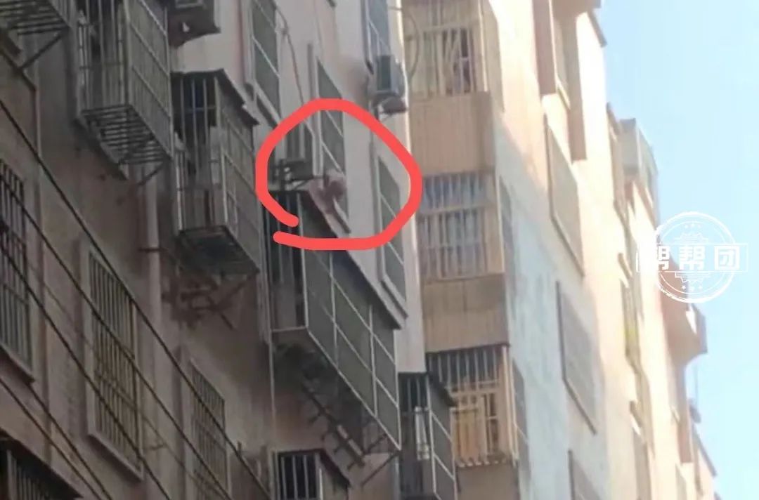 这张照片获央视、新华社集体点赞,原来这就是众志成城的力量!!!休闲区蓝鸢梦想 - Www.slyday.coM 这张照片获央视、新华社集体点赞,原来这就是众志成城的力量!!!休闲区蓝鸢梦想 - Www.slyday.coM