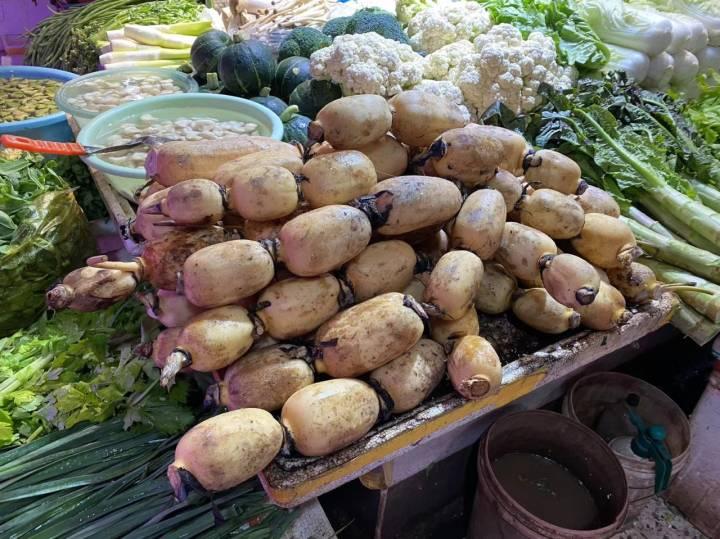 杭州人餐桌上的“水八仙”,你凑齐了吗?错过这个时节,就要等明年啦休闲区蓝鸢梦想 - Www.slyday.coM 杭州人餐桌上的“水八仙”,你凑齐了吗?错过这个时节,就要等明年啦休闲区蓝鸢梦想 - Www.slyday.coM