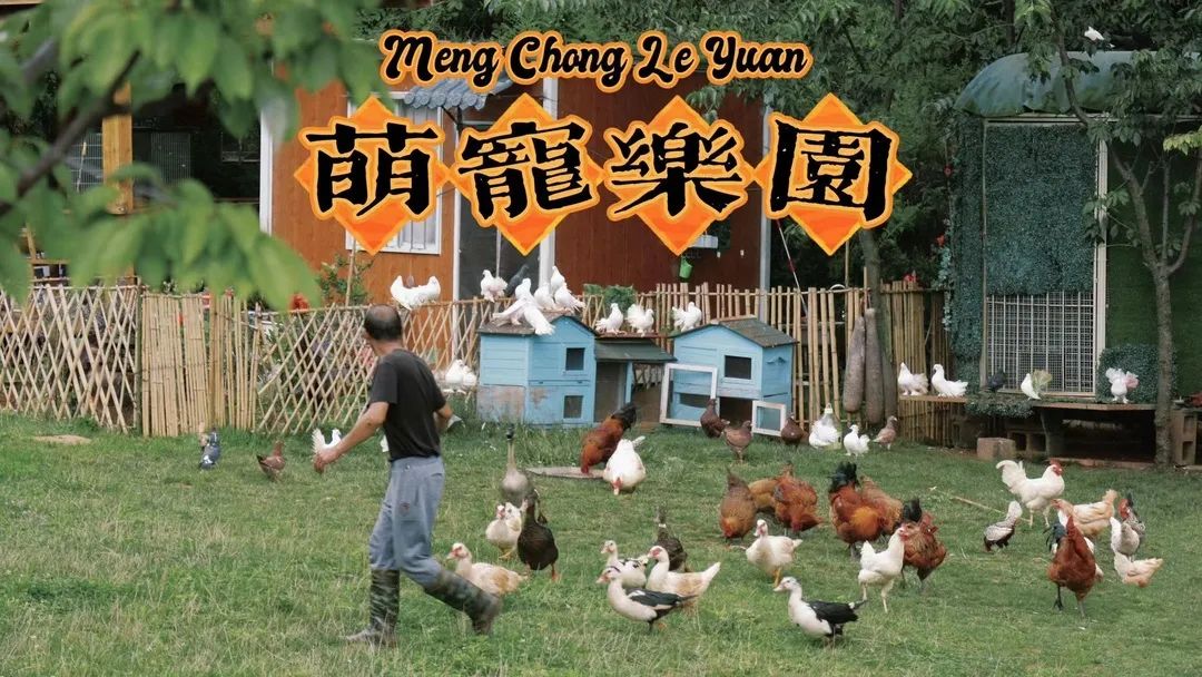 不出昆明人均100+就能拥有的快乐:轻奢露营+BBQ+萌宠+花式娱乐项目休闲区蓝鸢梦想 - Www.slyday.coM 不出昆明人均100+就能拥有的快乐:轻奢露营+BBQ+萌宠+花式娱乐项目休闲区蓝鸢梦想 - Www.slyday.coM