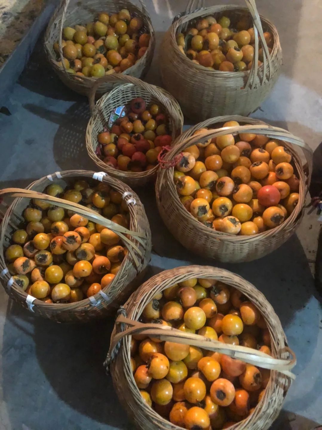 萧山多名网友家里柿子成堆了!这价格,居然还卖不动?休闲区蓝鸢梦想 - Www.slyday.coM 萧山多名网友家里柿子成堆了!这价格,居然还卖不动?休闲区蓝鸢梦想 - Www.slyday.coM