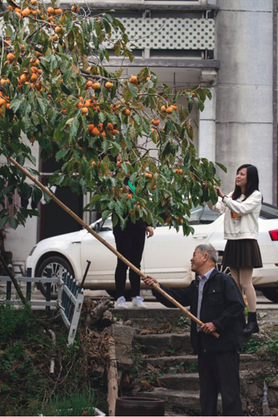 红红火火的柿子熟了......休闲区蓝鸢梦想 - Www.slyday.coM 红红火火的柿子熟了......休闲区蓝鸢梦想 - Www.slyday.coM