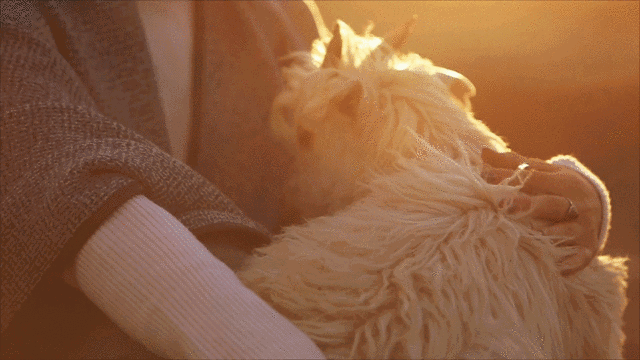 天冷了,护膝备起来!轻薄无痕又贴身,让你远离老寒腿!休闲区蓝鸢梦想 - Www.slyday.coM 天冷了,护膝备起来!轻薄无痕又贴身,让你远离老寒腿!休闲区蓝鸢梦想 - Www.slyday.coM