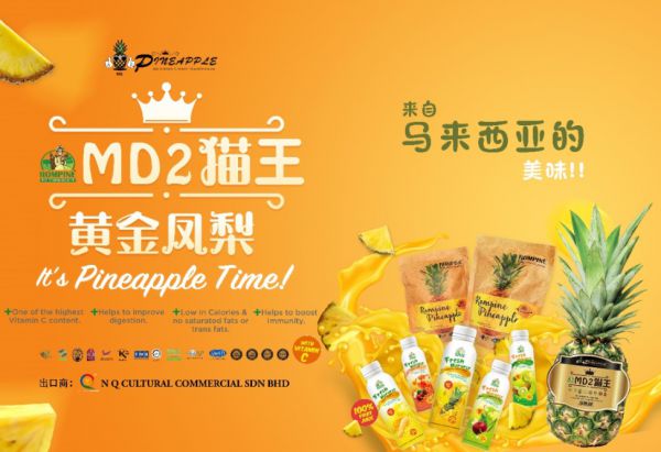 万众期待的马来西亚MD2 猫王黄金凤梨现进军中国，亮相第19届东博会农业展 – Sina