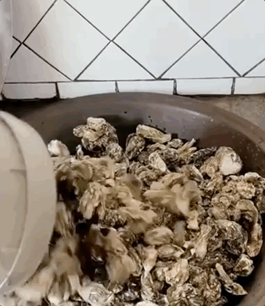 这两天,青岛人被5条热搜急红了眼!指着家门口的大海一通抱怨:你欠我们每个人500斤海鲜休闲区蓝鸢梦想 - Www.slyday.coM 这两天,青岛人被5条热搜急红了眼!指着家门口的大海一通抱怨:你欠我们每个人500斤海鲜休闲区蓝鸢梦想 - Www.slyday.coM