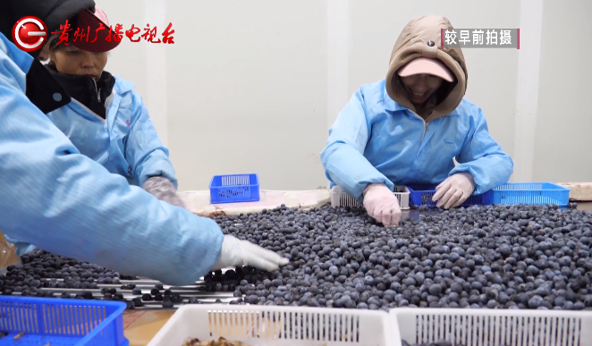 乡村振兴在贵州休闲区蓝鸢梦想 - Www.slyday.coM 乡村振兴在贵州休闲区蓝鸢梦想 - Www.slyday.coM