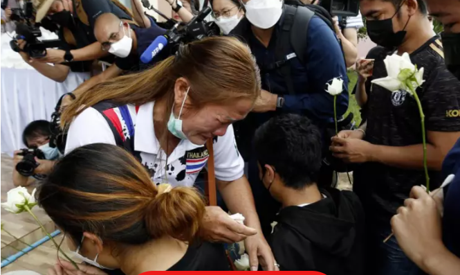 今天是国际女童日,愿每个女孩都被温柔以待!休闲区蓝鸢梦想 - Www.slyday.coM 今天是国际女童日,愿每个女孩都被温柔以待!休闲区蓝鸢梦想 - Www.slyday.coM