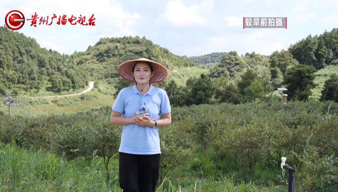 乡村振兴在贵州休闲区蓝鸢梦想 - Www.slyday.coM 乡村振兴在贵州休闲区蓝鸢梦想 - Www.slyday.coM