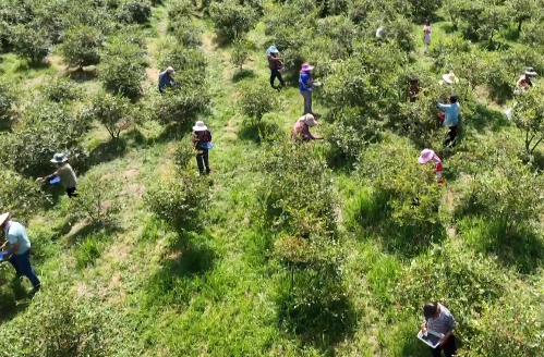 乡村振兴在贵州休闲区蓝鸢梦想 - Www.slyday.coM 乡村振兴在贵州休闲区蓝鸢梦想 - Www.slyday.coM