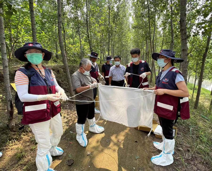 国内三代试管成功率高吗（德州市疾控中心：以专业力量助力病媒生物防控）