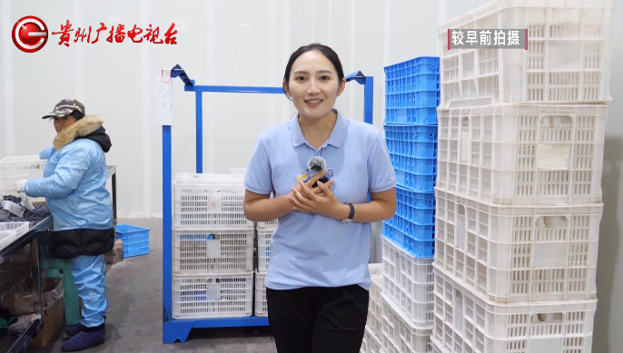 乡村振兴在贵州休闲区蓝鸢梦想 - Www.slyday.coM 乡村振兴在贵州休闲区蓝鸢梦想 - Www.slyday.coM