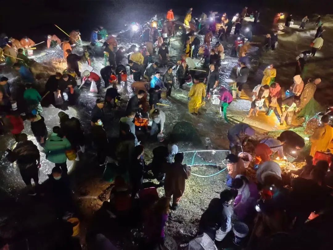 这两天,青岛人被5条热搜急红了眼!指着家门口的大海一通抱怨:你欠我们每个人500斤海鲜休闲区蓝鸢梦想 - Www.slyday.coM 这两天,青岛人被5条热搜急红了眼!指着家门口的大海一通抱怨:你欠我们每个人500斤海鲜休闲区蓝鸢梦想 - Www.slyday.coM