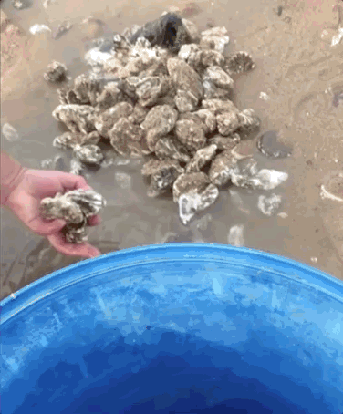 这两天,青岛人被5条热搜急红了眼!指着家门口的大海一通抱怨:你欠我们每个人500斤海鲜休闲区蓝鸢梦想 - Www.slyday.coM 这两天,青岛人被5条热搜急红了眼!指着家门口的大海一通抱怨:你欠我们每个人500斤海鲜休闲区蓝鸢梦想 - Www.slyday.coM