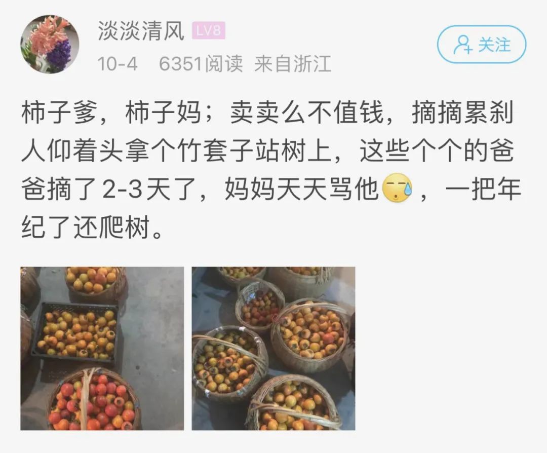 萧山多名网友家里柿子成堆了!这价格,居然还卖不动?休闲区蓝鸢梦想 - Www.slyday.coM 萧山多名网友家里柿子成堆了!这价格,居然还卖不动?休闲区蓝鸢梦想 - Www.slyday.coM