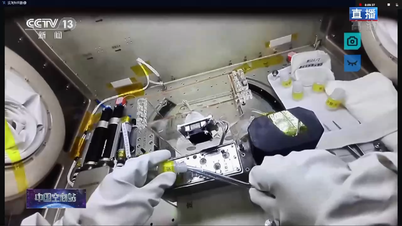 拟南芥、水稻、小麦,空间站的植物都生长得如何?休闲区蓝鸢梦想 - Www.slyday.coM 拟南芥、水稻、小麦,空间站的植物都生长得如何?休闲区蓝鸢梦想 - Www.slyday.coM