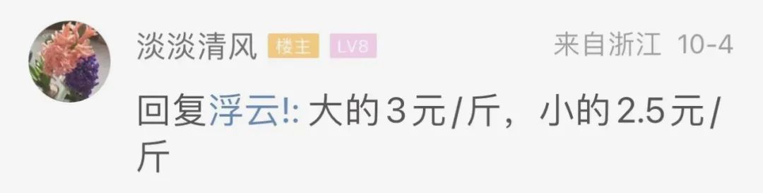萧山多名网友家里柿子成堆了!这价格,居然还卖不动?休闲区蓝鸢梦想 - Www.slyday.coM 萧山多名网友家里柿子成堆了!这价格,居然还卖不动?休闲区蓝鸢梦想 - Www.slyday.coM