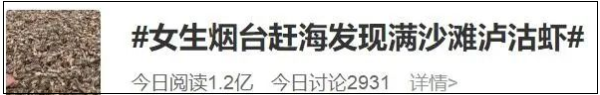 这两天,青岛人被5条热搜急红了眼!指着家门口的大海一通抱怨:你欠我们每个人500斤海鲜休闲区蓝鸢梦想 - Www.slyday.coM 这两天,青岛人被5条热搜急红了眼!指着家门口的大海一通抱怨:你欠我们每个人500斤海鲜休闲区蓝鸢梦想 - Www.slyday.coM