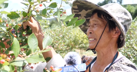 乡村振兴在贵州休闲区蓝鸢梦想 - Www.slyday.coM 乡村振兴在贵州休闲区蓝鸢梦想 - Www.slyday.coM