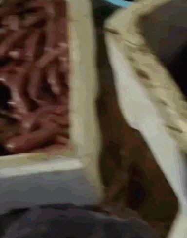 这两天,青岛人被5条热搜急红了眼!指着家门口的大海一通抱怨:你欠我们每个人500斤海鲜休闲区蓝鸢梦想 - Www.slyday.coM 这两天,青岛人被5条热搜急红了眼!指着家门口的大海一通抱怨:你欠我们每个人500斤海鲜休闲区蓝鸢梦想 - Www.slyday.coM