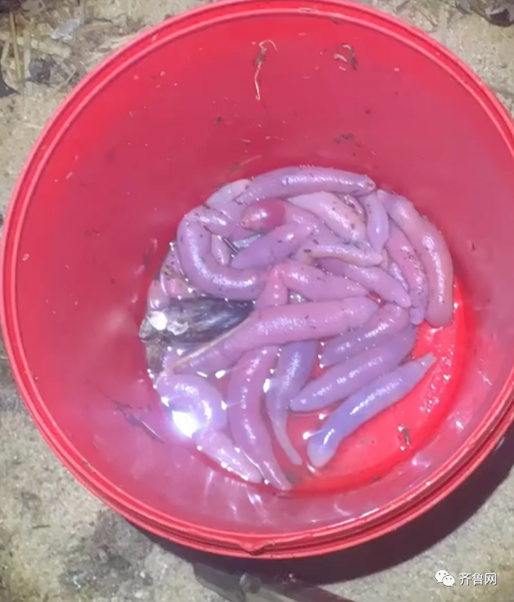 这两天,青岛人被5条热搜急红了眼!指着家门口的大海一通抱怨:你欠我们每个人500斤海鲜休闲区蓝鸢梦想 - Www.slyday.coM 这两天,青岛人被5条热搜急红了眼!指着家门口的大海一通抱怨:你欠我们每个人500斤海鲜休闲区蓝鸢梦想 - Www.slyday.coM