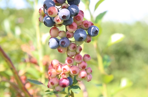 乡村振兴在贵州休闲区蓝鸢梦想 - Www.slyday.coM 乡村振兴在贵州休闲区蓝鸢梦想 - Www.slyday.coM