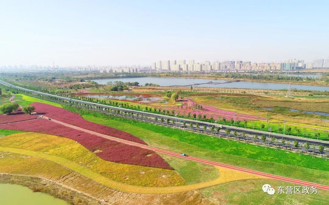 【非凡十年】重磅变迁!这份东营区十年答卷里有大写的荣耀和喜悦……休闲区蓝鸢梦想 - Www.slyday.coM 【非凡十年】重磅变迁!这份东营区十年答卷里有大写的荣耀和喜悦……休闲区蓝鸢梦想 - Www.slyday.coM