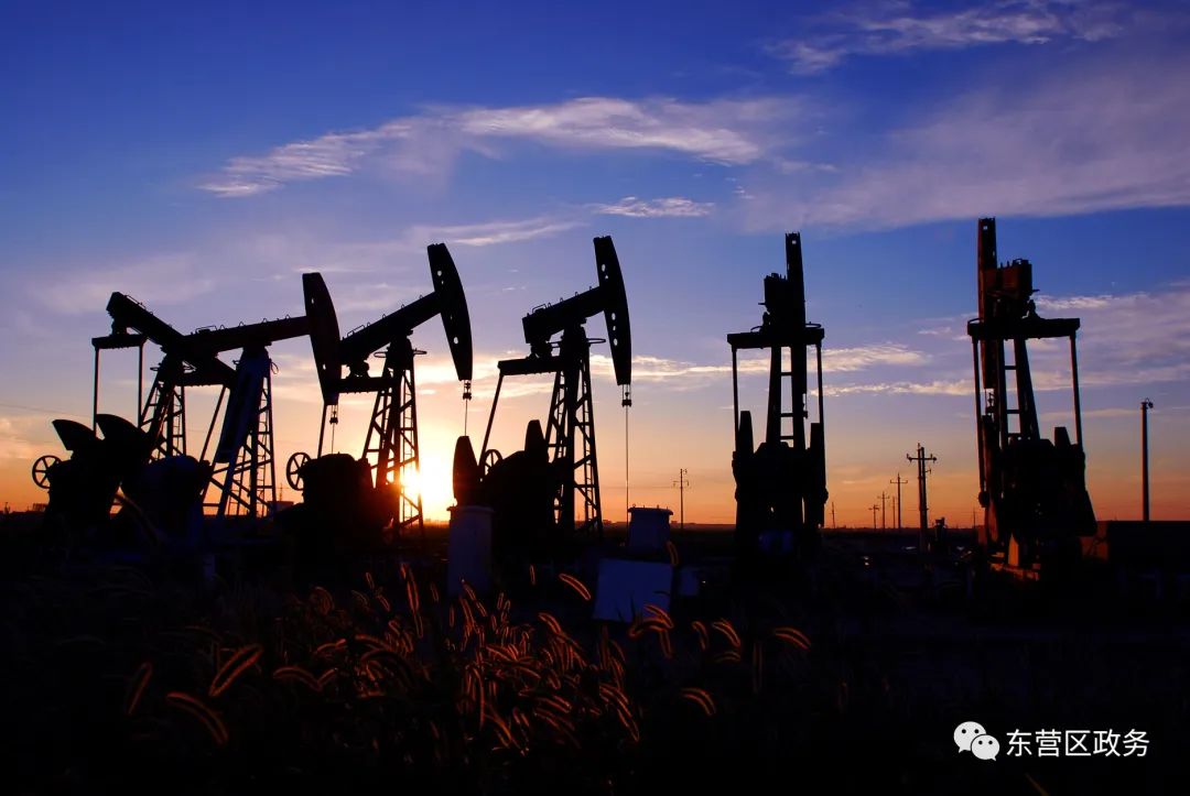 【非凡十年】重磅变迁!这份东营区十年答卷里有大写的荣耀和喜悦……休闲区蓝鸢梦想 - Www.slyday.coM 【非凡十年】重磅变迁!这份东营区十年答卷里有大写的荣耀和喜悦……休闲区蓝鸢梦想 - Www.slyday.coM