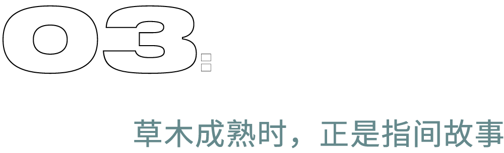 属于秋天的戒指,一步拉满氛围感休闲区蓝鸢梦想 - Www.slyday.coM 属于秋天的戒指,一步拉满氛围感休闲区蓝鸢梦想 - Www.slyday.coM
