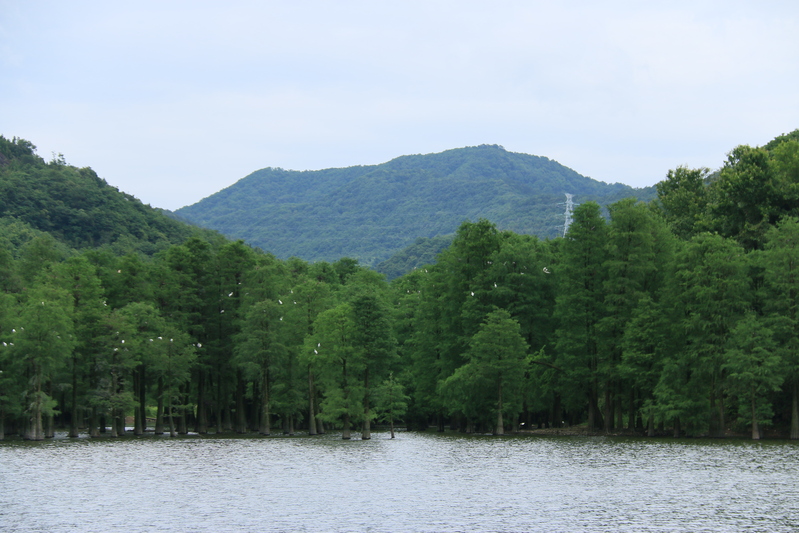 不是在露营,就是在去露营的路上……她这样玩转野外露营|达人休闲区蓝鸢梦想 - Www.slyday.coM 不是在露营,就是在去露营的路上……她这样玩转野外露营|达人休闲区蓝鸢梦想 - Www.slyday.coM
