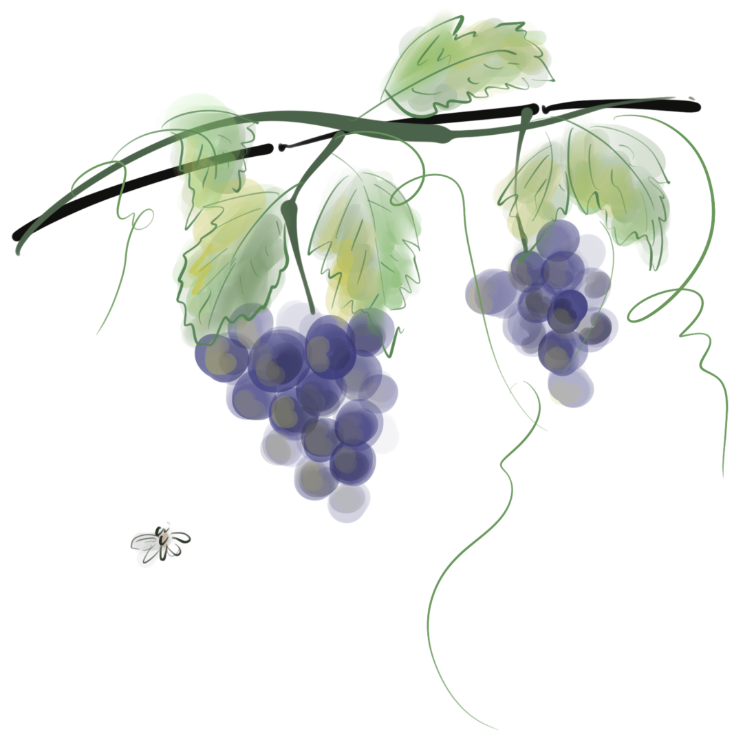 10岁已成国家级非遗传承人是怎样的体验?北京这名小学生告诉你……休闲区蓝鸢梦想 - Www.slyday.coM 10岁已成国家级非遗传承人是怎样的体验?北京这名小学生告诉你……休闲区蓝鸢梦想 - Www.slyday.coM