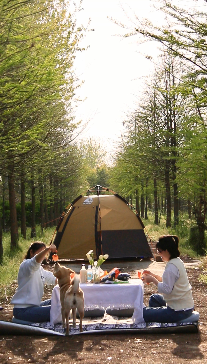 不是在露营,就是在去露营的路上……她这样玩转野外露营|达人休闲区蓝鸢梦想 - Www.slyday.coM 不是在露营,就是在去露营的路上……她这样玩转野外露营|达人休闲区蓝鸢梦想 - Www.slyday.coM