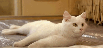 【雀宝事】少年你是早有预谋吧休闲区蓝鸢梦想 - Www.slyday.coM 【雀宝事】少年你是早有预谋吧休闲区蓝鸢梦想 - Www.slyday.coM