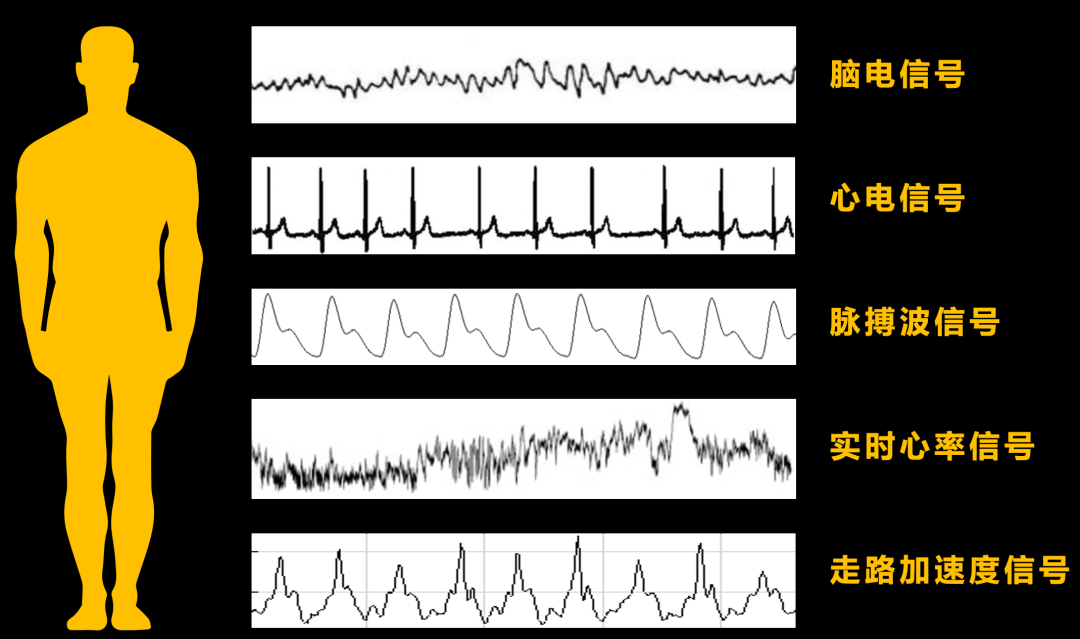 很多人对健康的理解,其实是错误的休闲区蓝鸢梦想 - Www.slyday.coM 很多人对健康的理解,其实是错误的休闲区蓝鸢梦想 - Www.slyday.coM