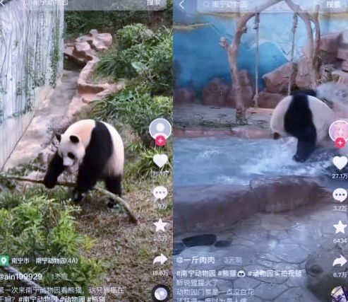 南宁动物园没有正经动物?背后原因值得反思休闲区蓝鸢梦想 - Www.slyday.coM 南宁动物园没有正经动物?背后原因值得反思休闲区蓝鸢梦想 - Www.slyday.coM