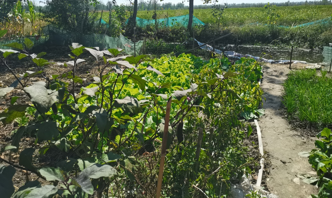 “我没有双臂,但我很感谢拥抱我的人”休闲区蓝鸢梦想 - Www.slyday.coM “我没有双臂,但我很感谢拥抱我的人”休闲区蓝鸢梦想 - Www.slyday.coM